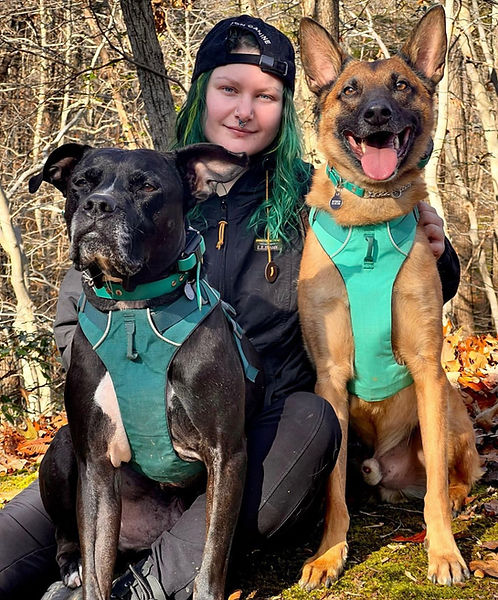 Dog trainer with two dogs
